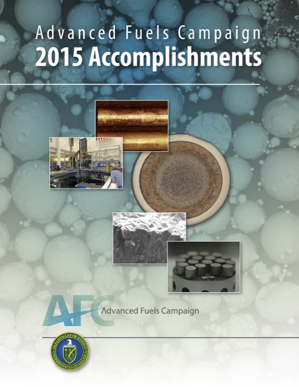 2015 Accomplishment Report Cover
