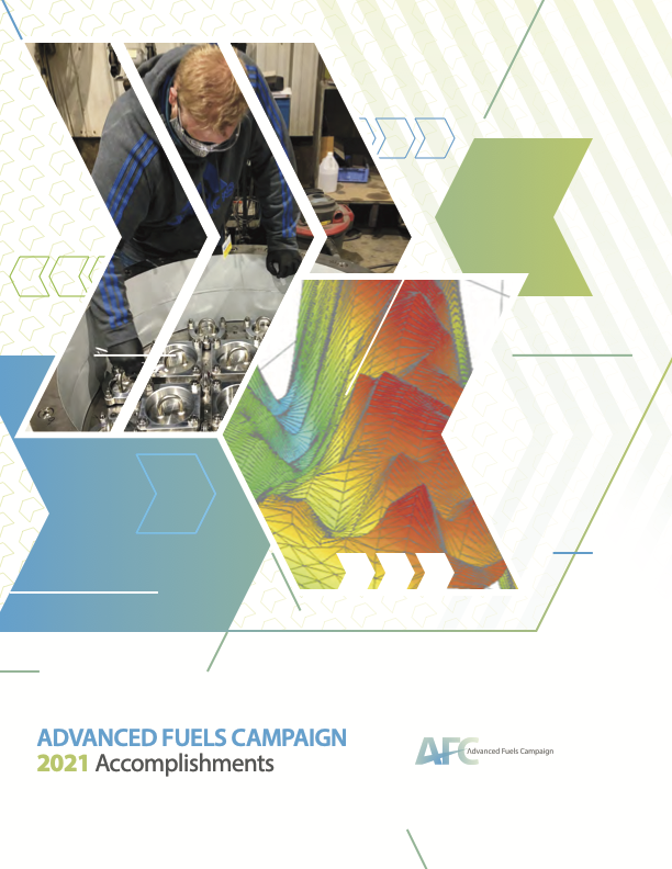 2021 Accomplishment Report Cover